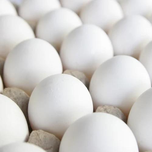 Farm Eggs